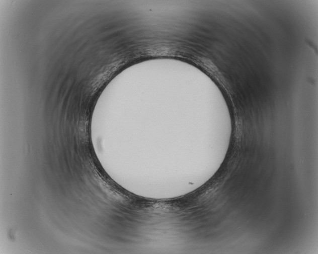 X0000102230441200808221311