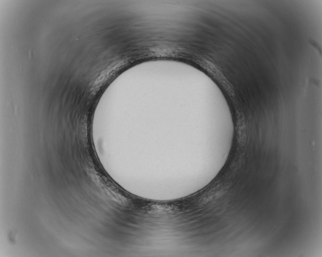 X0000102230442200808221311