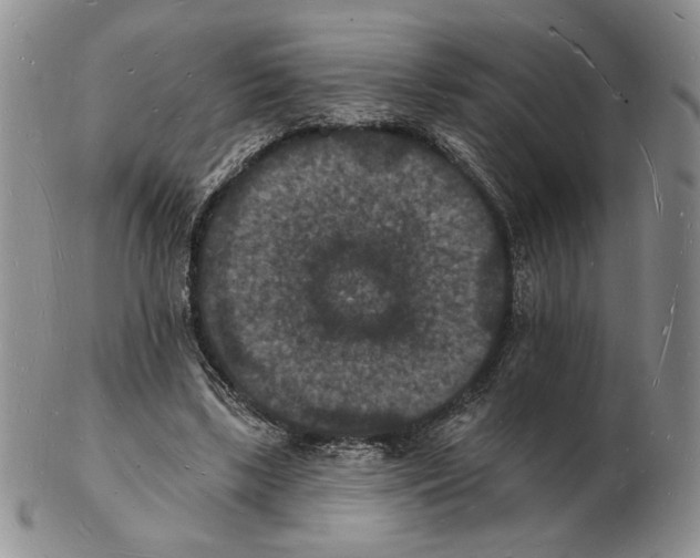 X0000102230443200808221311