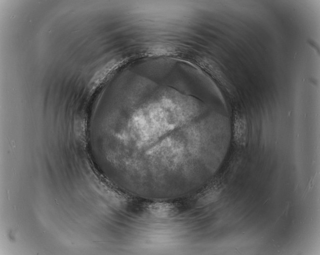 X0000102230444200808221311