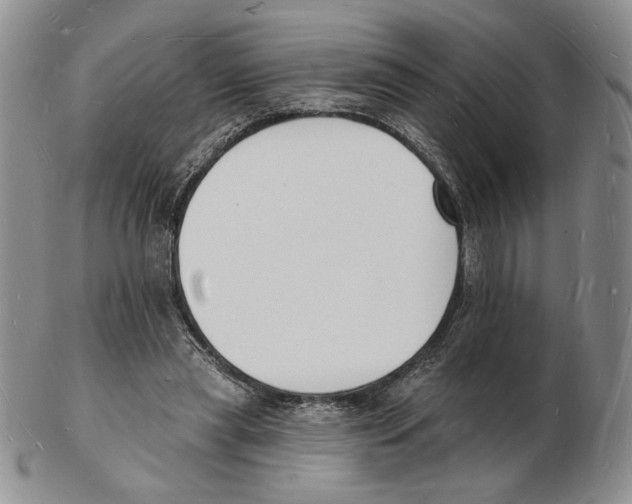 X0000102230445200808221311