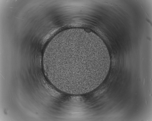 X0000102230446200808221311