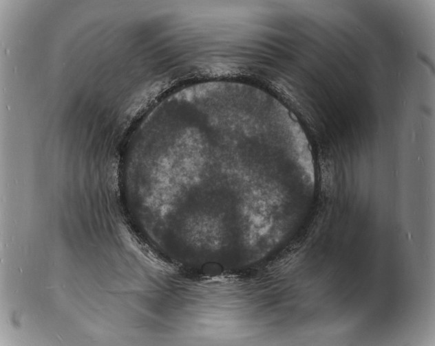 X0000102230447200808221312