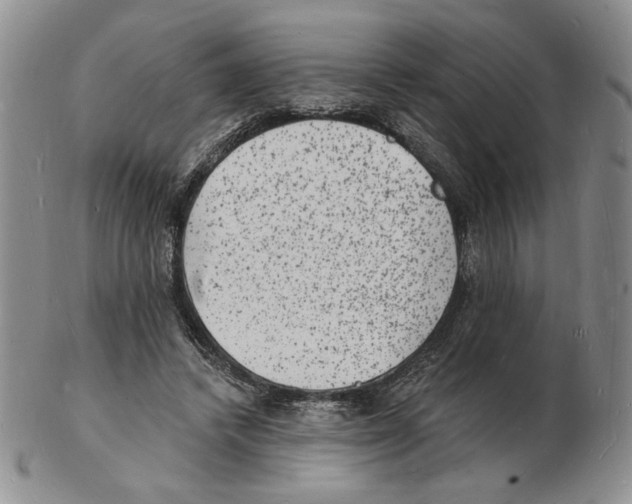 X0000102230448200808221312