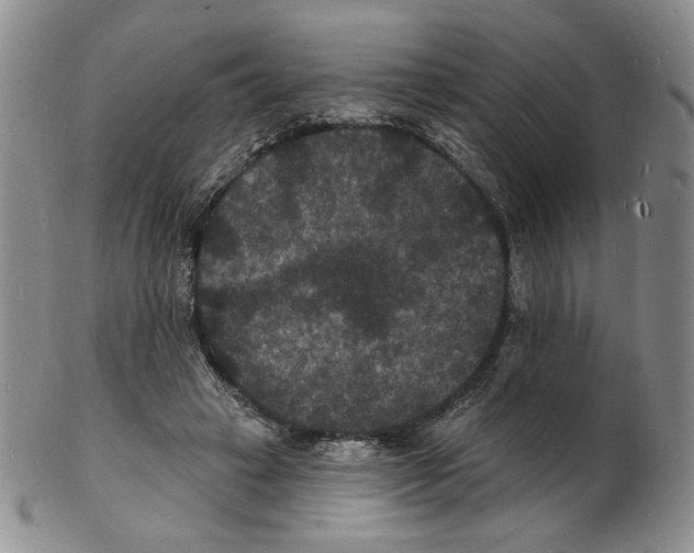 X0000102230449200808221312