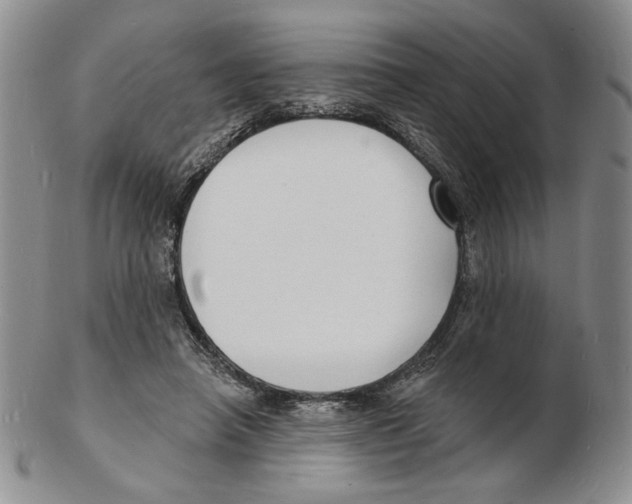 X0000102230450200808221312