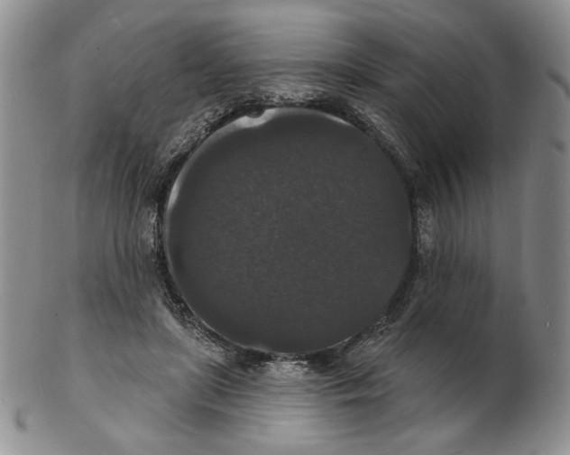 X0000102230451200808221312