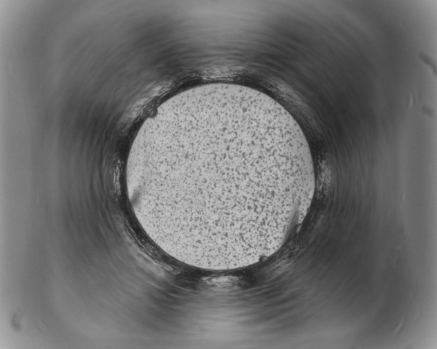 X0000102230452200808221312
