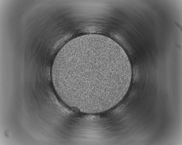 X0000102230453200808221312
