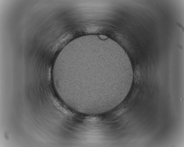 X0000102230454200808221312