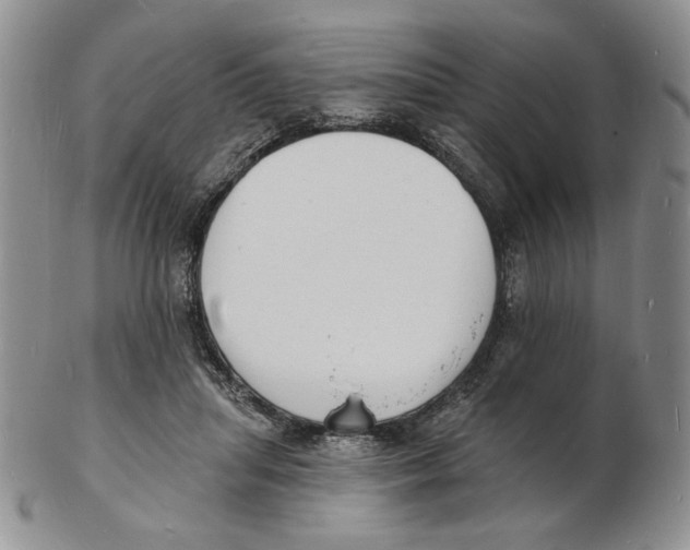 X0000102230455200808221312