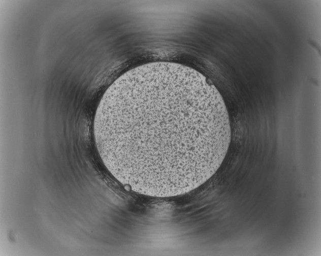X0000102230456200808221312