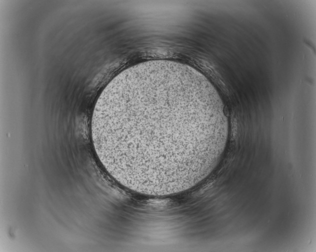 X0000102230457200808221312