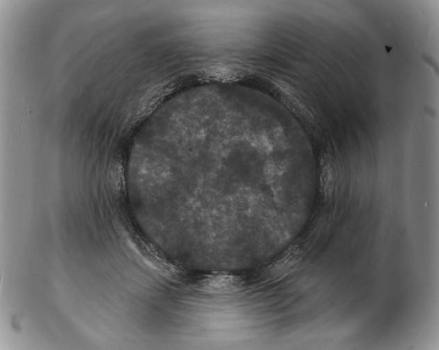 X0000102230459200808221312