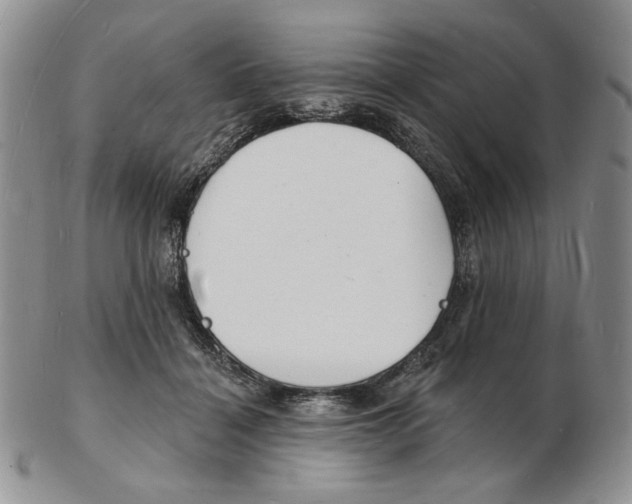 X0000102230460200808221312