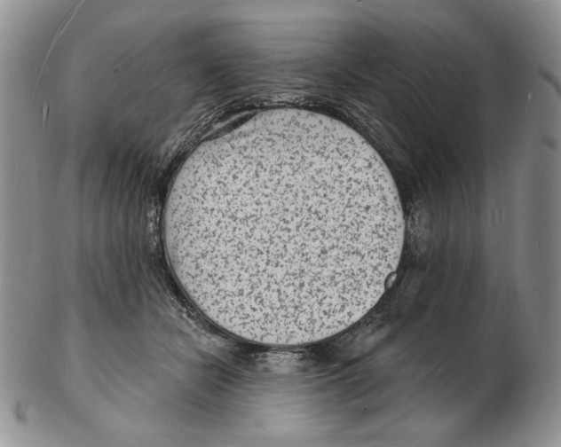 X0000102230462200808221312