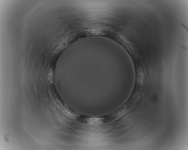 X0000102230465200808221312