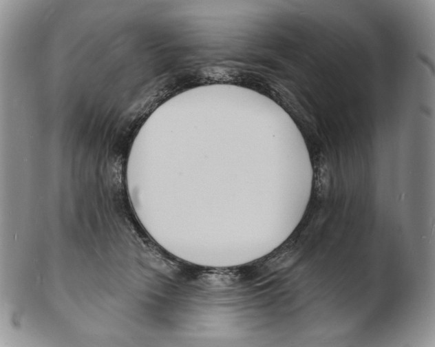 X0000102230466200808221312