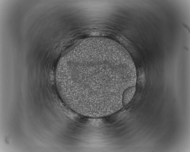 X0000102230469200808221312