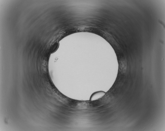 X0000102230470200808221312