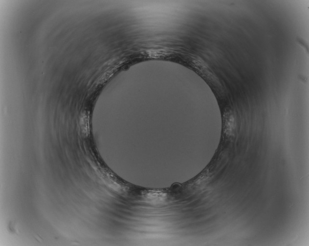 X0000102230471200808221312
