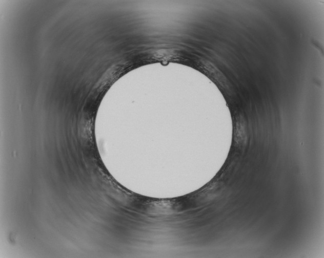 X0000102230473200808221312