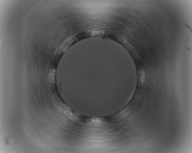X0000102230475200808221312