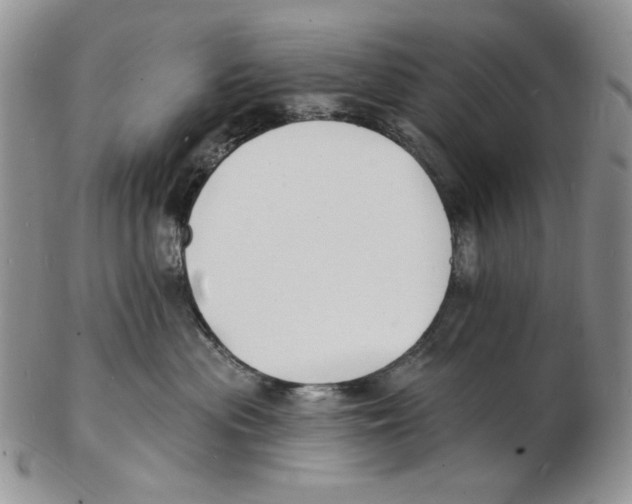 X0000102230477200808221312