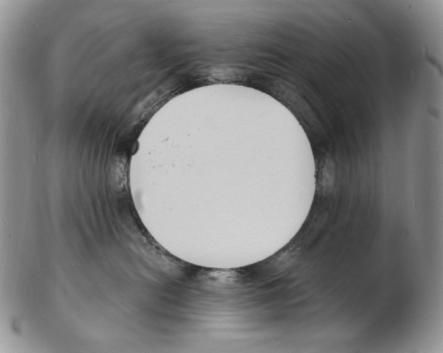 X0000102230478200808221312