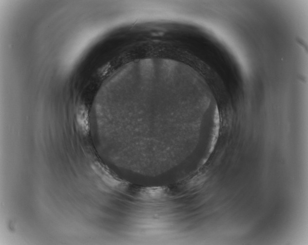 X0000102230479200808221312