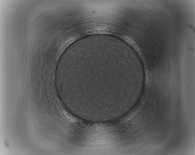 X0000102230481200808221311