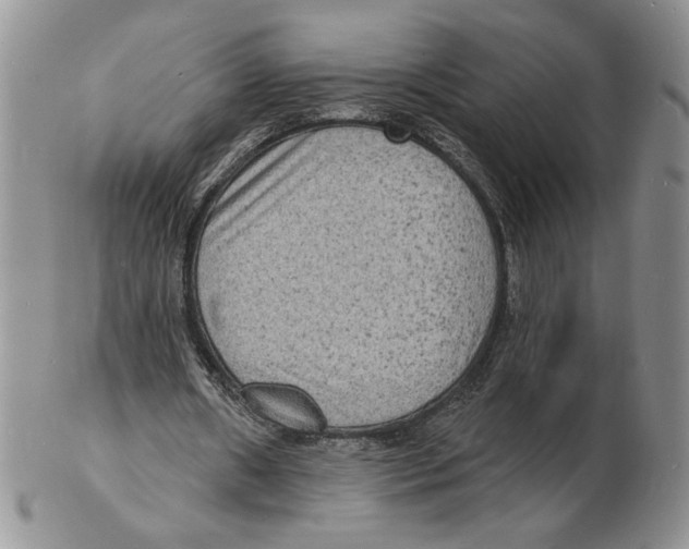 X0000102230482200808221311