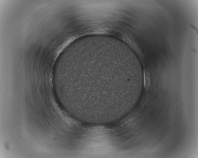 X0000102230483200808221311
