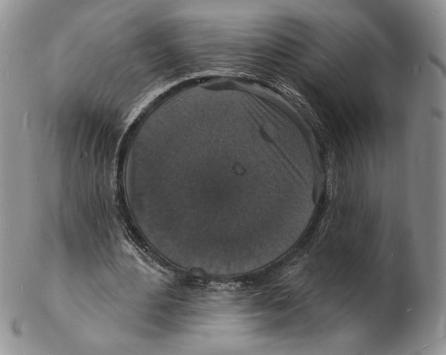 X0000102230484200808221311