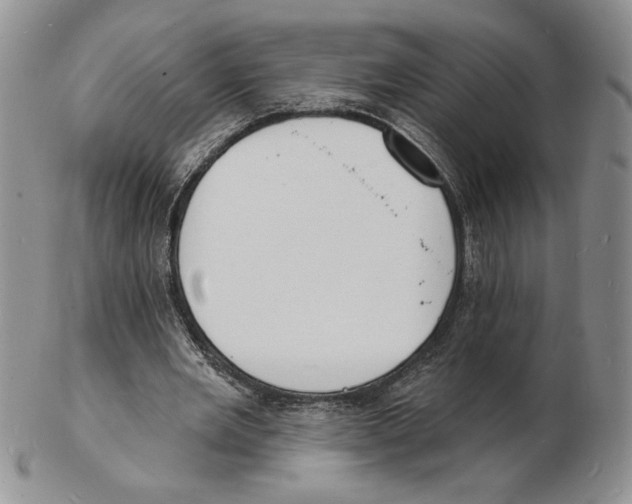 X0000102230485200808221311