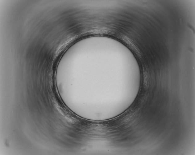 X0000102230486200808221311