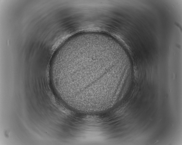 X0000102230487200808221311