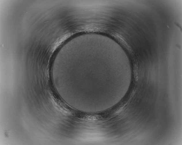 X0000102230488200808221311