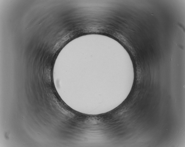 X0000102230489200808221311