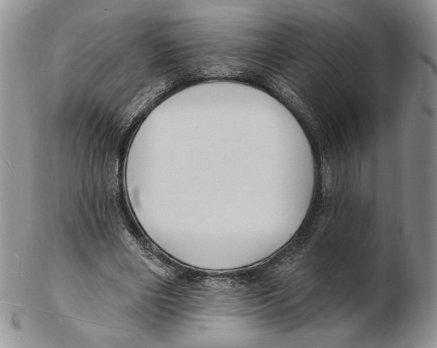 X0000102230490200808221311