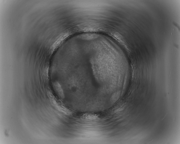 X0000102230491200808221311