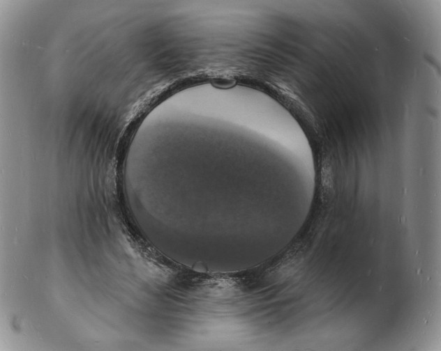 X0000102230492200808221311