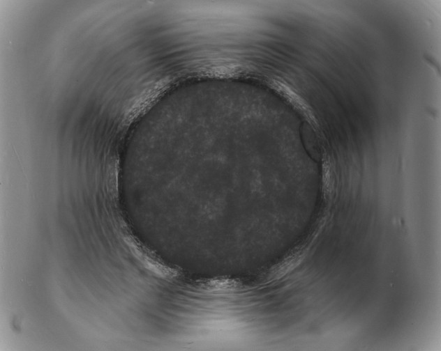 X0000102230493200808221311