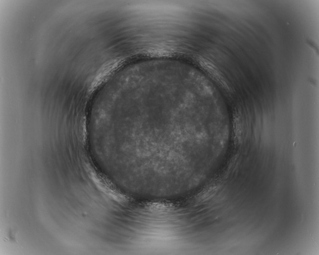 X0000102230494200808221311