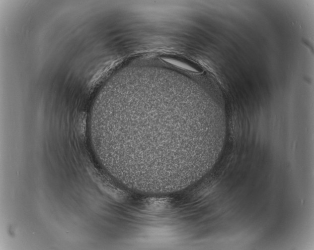 X0000102230495200808221311