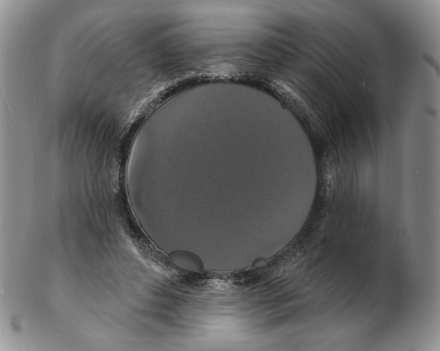 X0000102230496200808221311