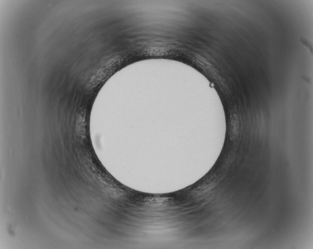 X0000102230497200808221311