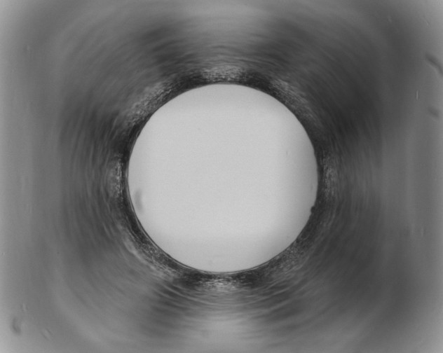 X0000102230498200808221311