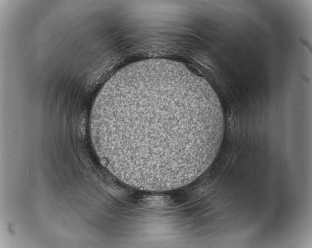 X0000102230499200808221311