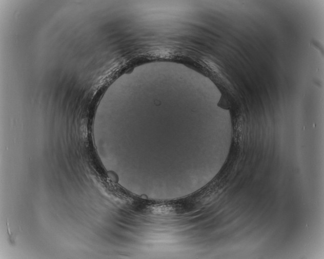 X0000102230500200808221311